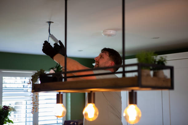 Best Electric Panel Repair  in Mcnary, AZ